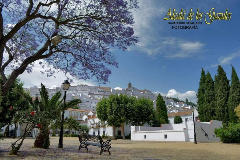 Сasa de vacaciones Casa Gazules